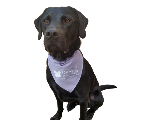 Dog Bandana - Image 3