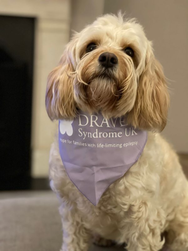 Dog Bandana