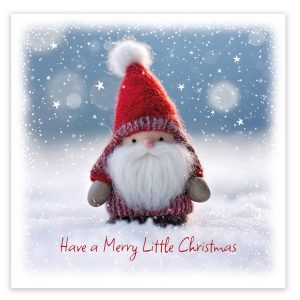 Little Santa Christmas Cards